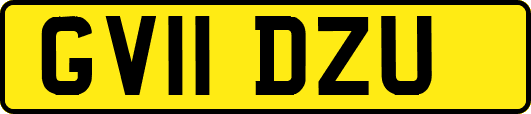 GV11DZU