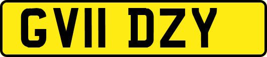 GV11DZY