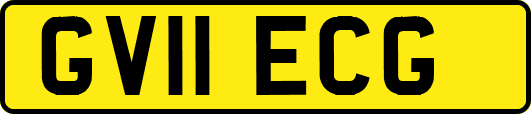 GV11ECG