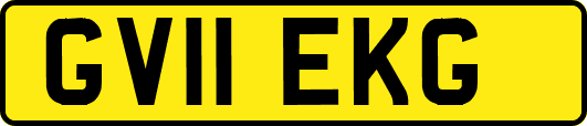 GV11EKG