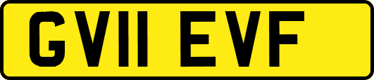 GV11EVF