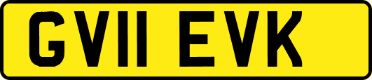 GV11EVK
