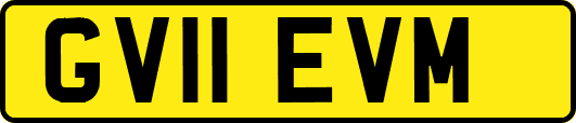 GV11EVM