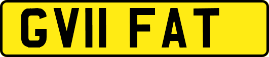 GV11FAT