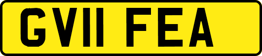 GV11FEA