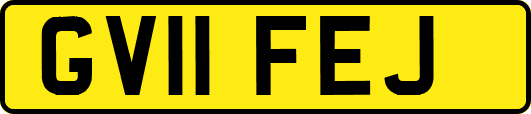 GV11FEJ