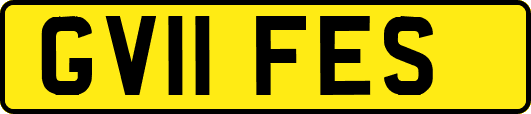 GV11FES