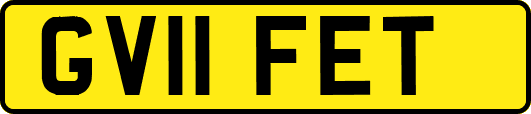 GV11FET