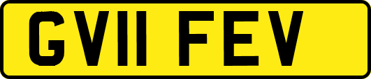 GV11FEV