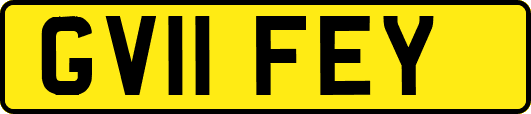 GV11FEY