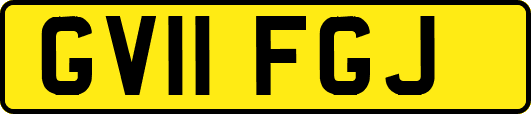 GV11FGJ