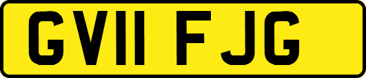 GV11FJG