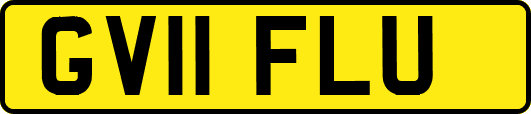 GV11FLU