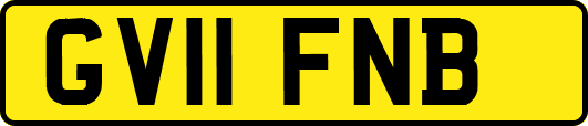 GV11FNB