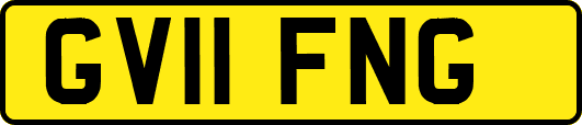 GV11FNG