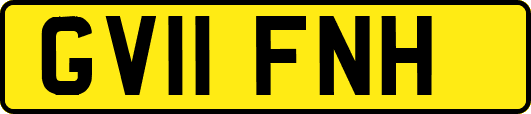 GV11FNH