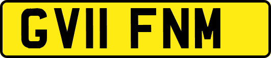 GV11FNM