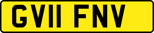 GV11FNV