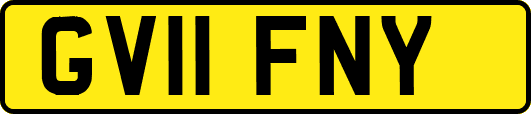 GV11FNY