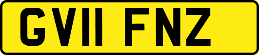 GV11FNZ