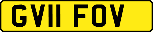 GV11FOV