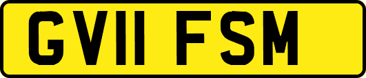 GV11FSM