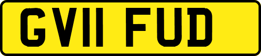 GV11FUD