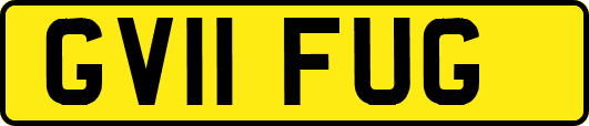 GV11FUG