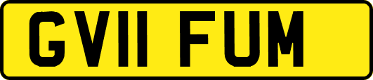 GV11FUM