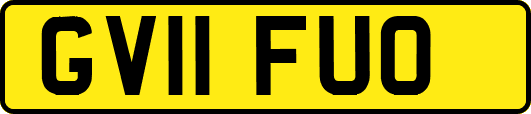 GV11FUO