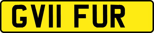 GV11FUR