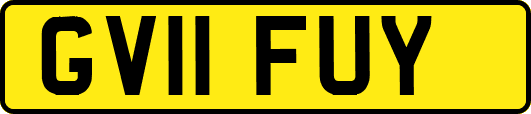 GV11FUY