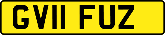 GV11FUZ