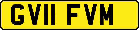 GV11FVM