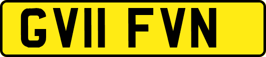 GV11FVN