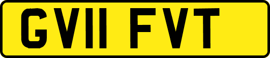 GV11FVT