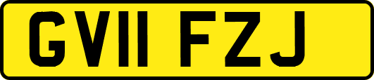 GV11FZJ