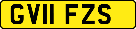 GV11FZS
