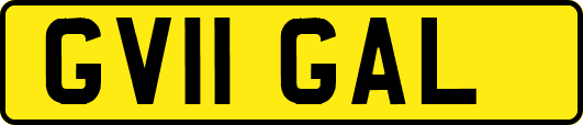 GV11GAL