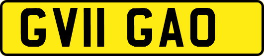 GV11GAO