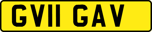GV11GAV