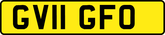 GV11GFO