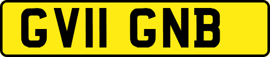 GV11GNB
