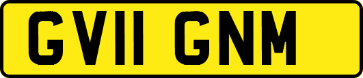 GV11GNM