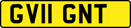 GV11GNT