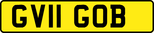 GV11GOB