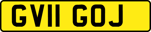 GV11GOJ