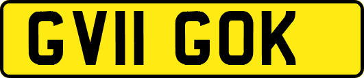 GV11GOK