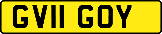 GV11GOY