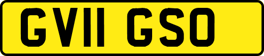 GV11GSO